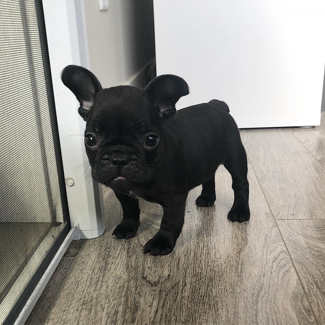 Mac